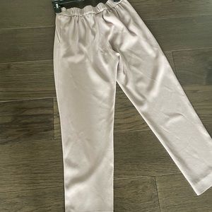 Aritzia pants